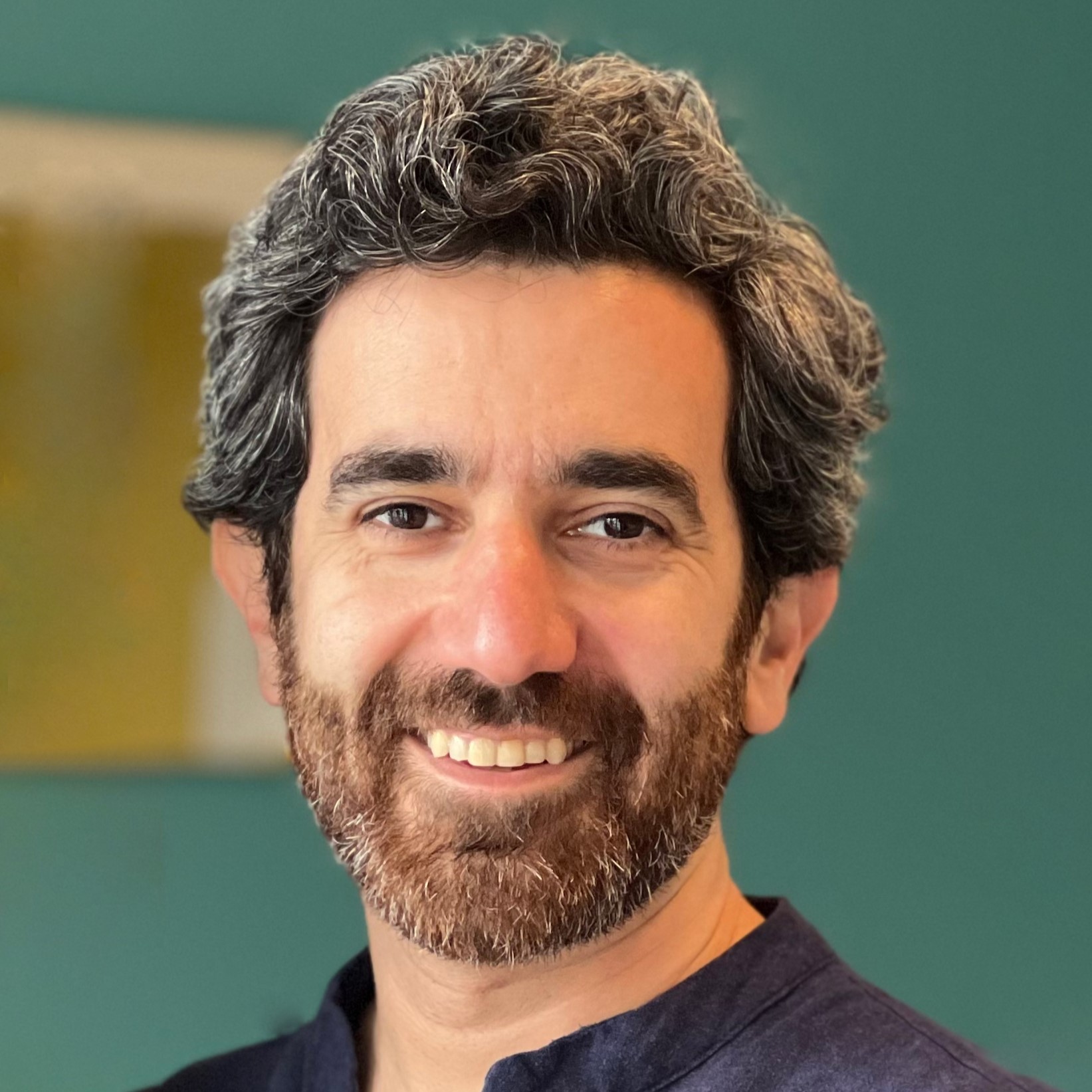 Mohammad Hafezi