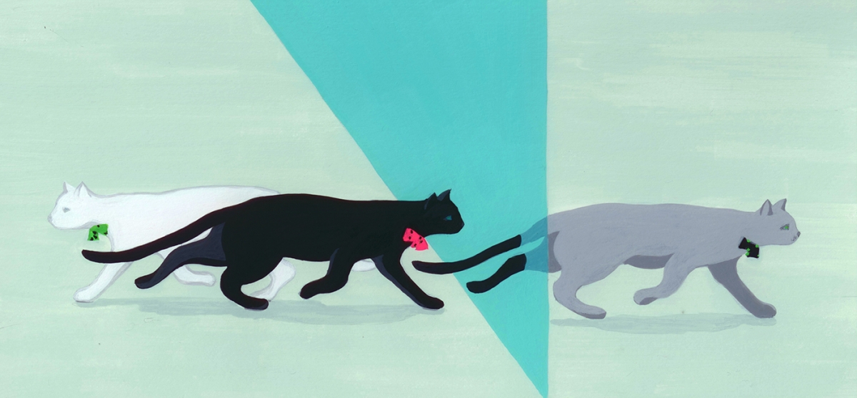 coursera cats banner