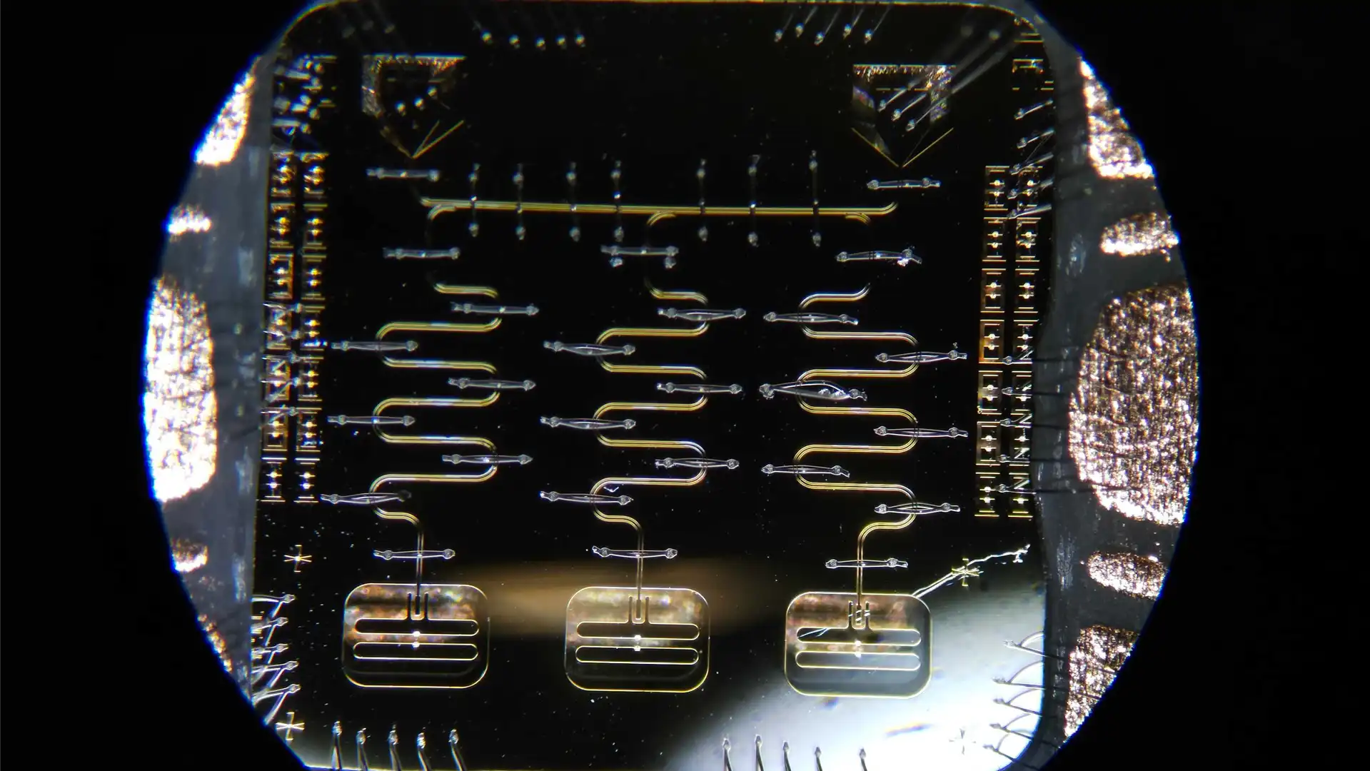 Researchers have proposed a new way to both demonstrate and verify that quantum devices offer real speedups over ordinary computers. Their protocol might be suitable for near-term devices made from trapped ions or superconducting circuits, like the one shown above. (Credit: Kollár Lab/JQI)