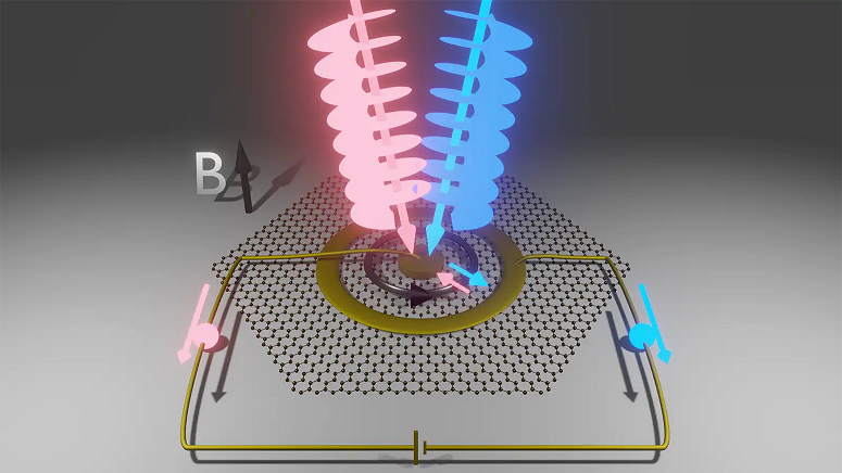 In a new experiment, light beams carrying orbital angular momentum caused electrons in graphene to gain (blue beam) and lose (red beam) angular momentum, transporting them across the sample and generating a current that researchers measured. (Credit: Mahmoud Jalali Mehrabad/JQI)