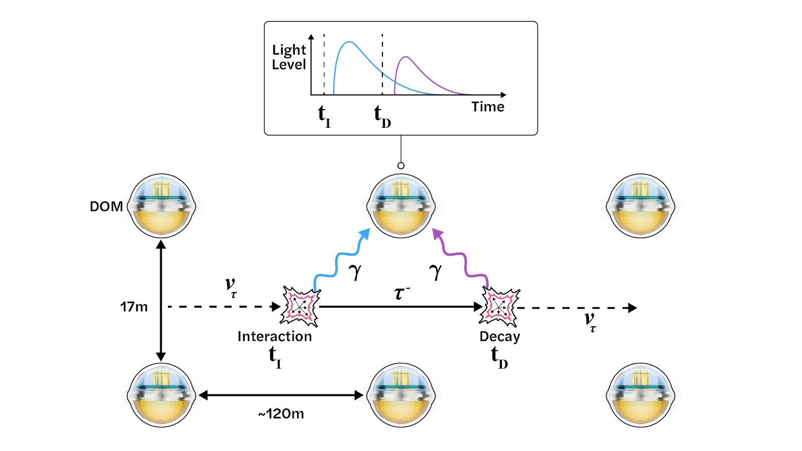 The production of a double pulse waveform. The photons from a neutrino interaction (blue) arrive at the top middle DOM at time tI, producing the first peak in the waveform, while photons from the tau lepton decay (purple) arrive at the same DOM at time tD, producing the second peak. Credit: Jack Pairin/IceCube Collaboration