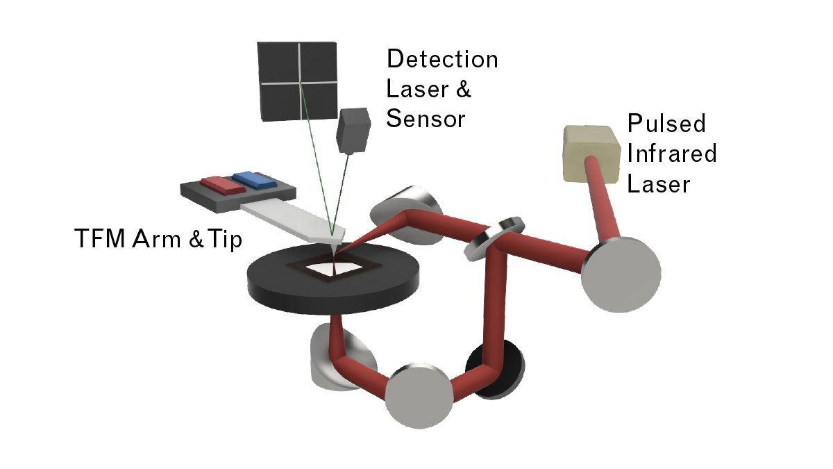 Caption: A schematic of a novel infrared torsional force microscopy (TFM-IR) experiment conducted at the University of Maryland. A material sample (located on the dark gray disc) is illuminated with pulses from an infrared laser. A microscopic tip, twisted rapidly back and forth on a long arm, scans the surface of the material to sense its response to the light. A second laser is bounced off the arm to measure small changes to its twisting motion, allowing researchers to capture a detailed image of the sample's surface. (Schematic courtesy of the authors.)